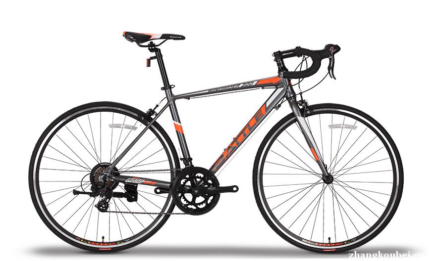 自行车的十大品牌 自行车上面牌子比较好