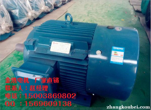 北京YE2-180M-2 22kw电动机质量有保证【金港电机】