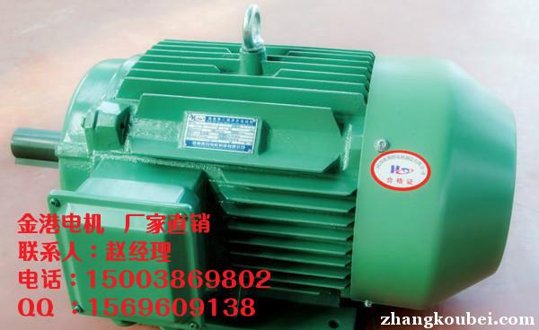 南昌YE2-100L1-4 2.2kw三相异步电动机质量有保证【金港电机】