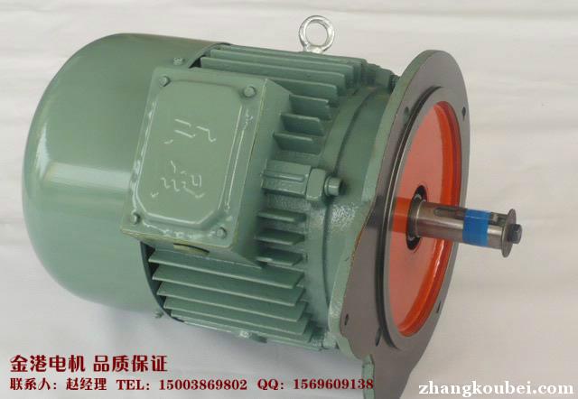 郑州YE2-100L1-4 2.2kw三相异步电动机-供您选择_【河南金港电机】