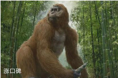 史上最大的猿，步氏巨猿站立身高超过3米