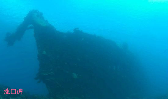 全球最大盜墓 掠夺二战时期沉船遗留宝藏
