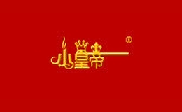 小皇帝